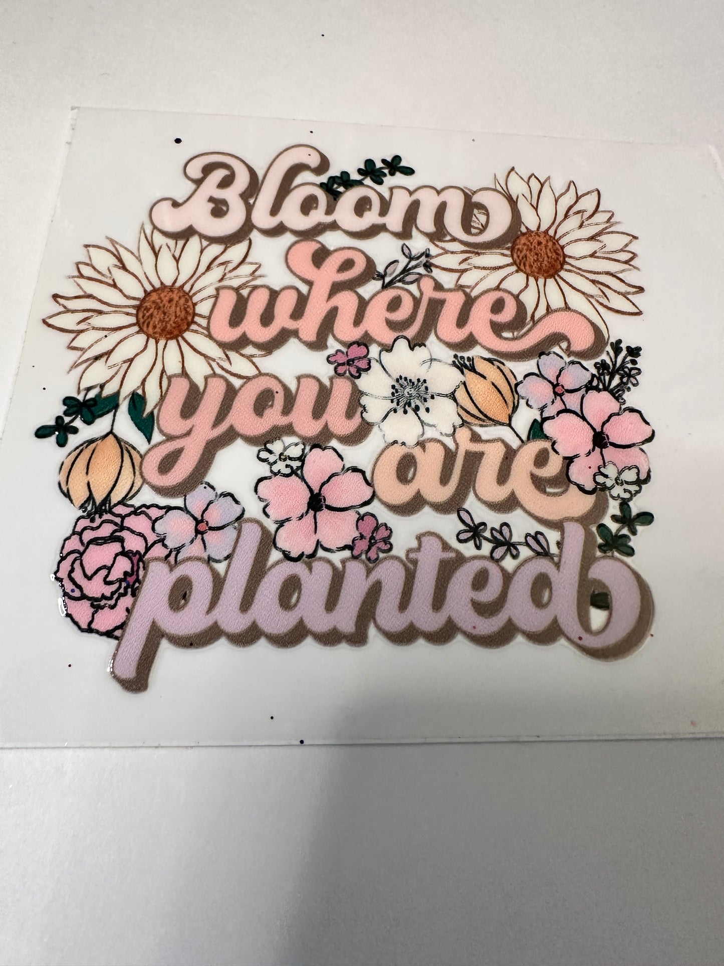 Bloom Where you are Planted Decal